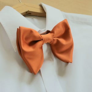Puede incluir: Una pajarita naranja quemada sobre una camisa blanca con cuello.