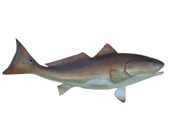 27&quot; Redfish Half-Side Fish Mount - Ready to Hang and Beautifully Painted!