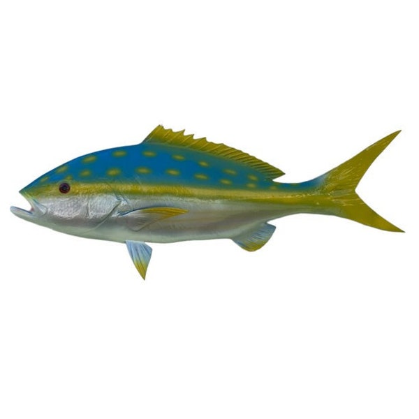 28'' Yellowtail Snapper Half-Side Fish Mount - Beautifully Painted and Ready to Hang!