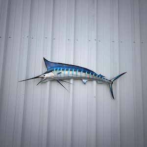 May include: A blue and silver marlin fish mounted on a white wall. The fish has a long, pointed bill and a dorsal fin that runs the length of its back.