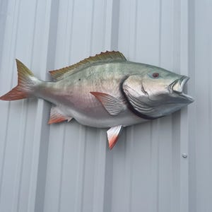 Op de afbeelding: Een gemonteerd visreplica met een zilveren lichaam en rode vinnen. De vis is gemonteerd op een grijze metalen muur.