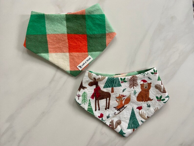 carlson expandable pet gate