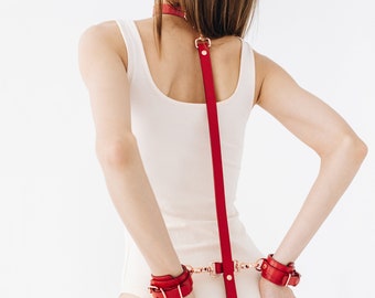Ensemble collier et laisse en cuir rouge fait main (792 variations de couleurs, accessoires plaqués sans nickel, prix unique pour toutes les tailles)