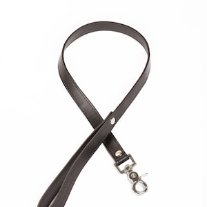 May include: A black leather dog leash with a silver clip.