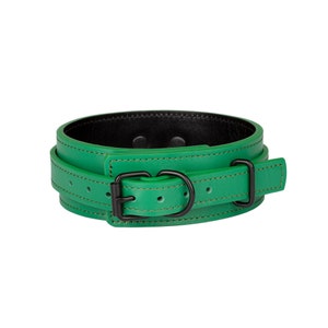 Handmade Green Leather collar and leash set ( 792 color variations, nickel-free plated hardware, one price for all sizes )