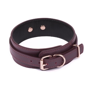 Handgefertigtes Bordo Leder Halsband und Leine (792 Farbvariationen, nickelfrei überzogene Metallteile, ein Preis für alle Größen)