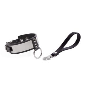 Custom Leather Collar with Short Leash: Stainless Steel Hardware, 12 Colors