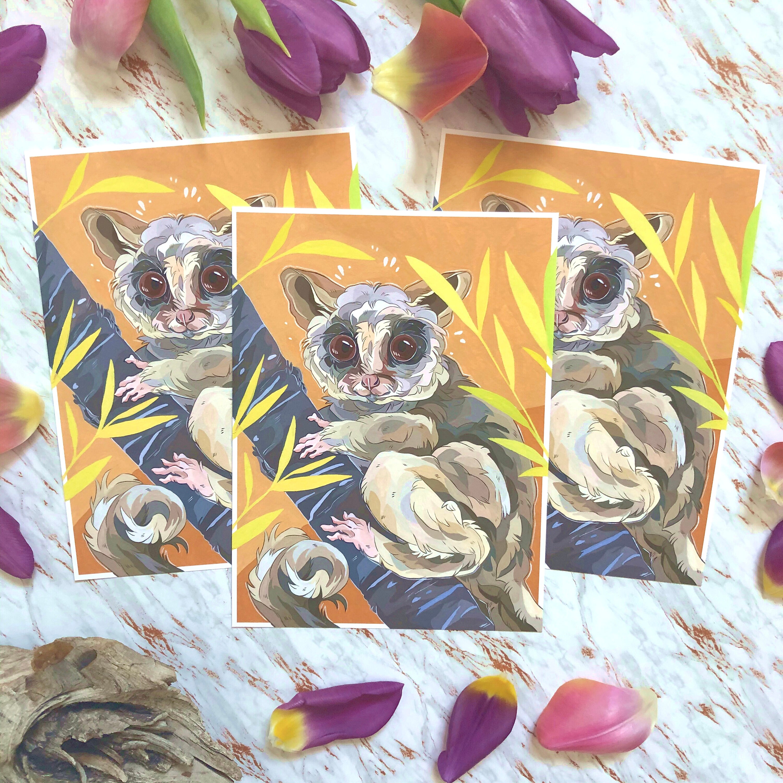 Bush Baby 5x7 Print | Etsy