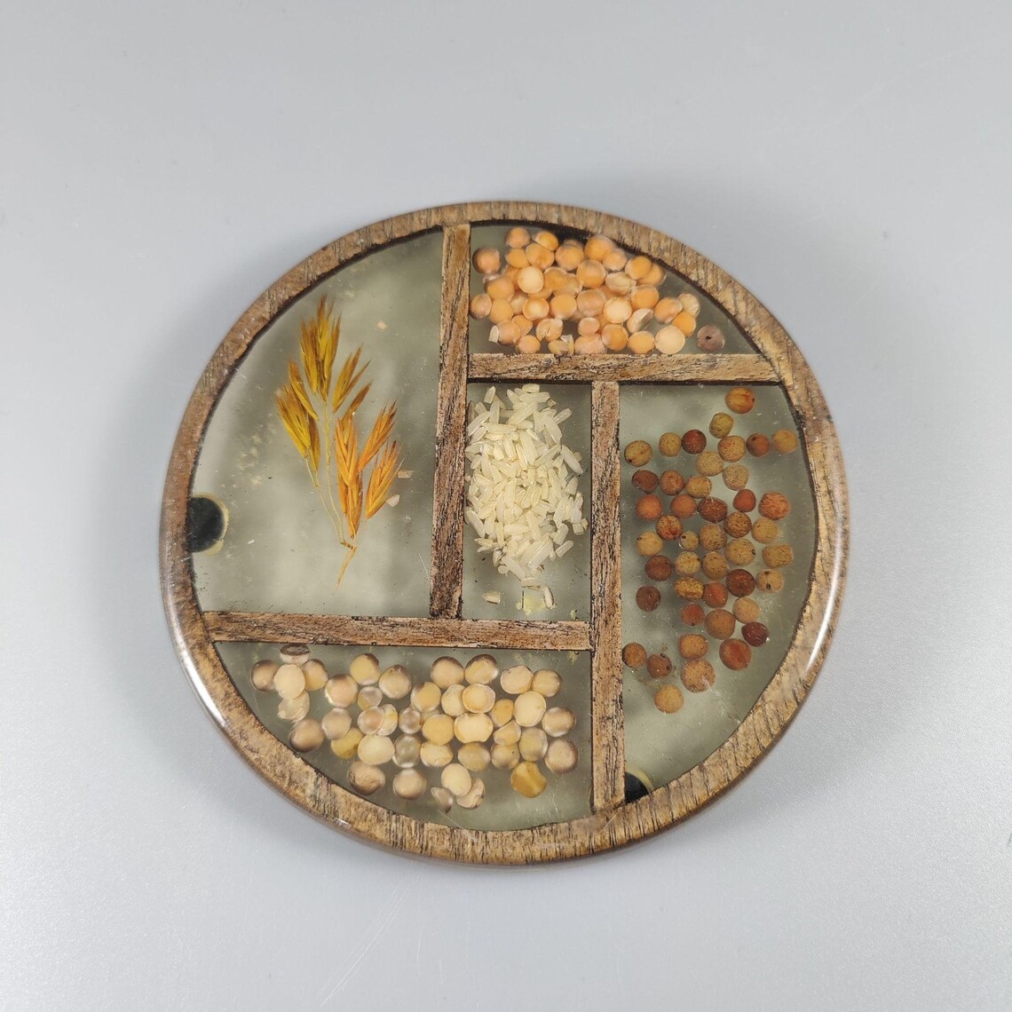 VTG Gamut Designs Trivets Resin Lucite Seeds Set of 3 Etsy