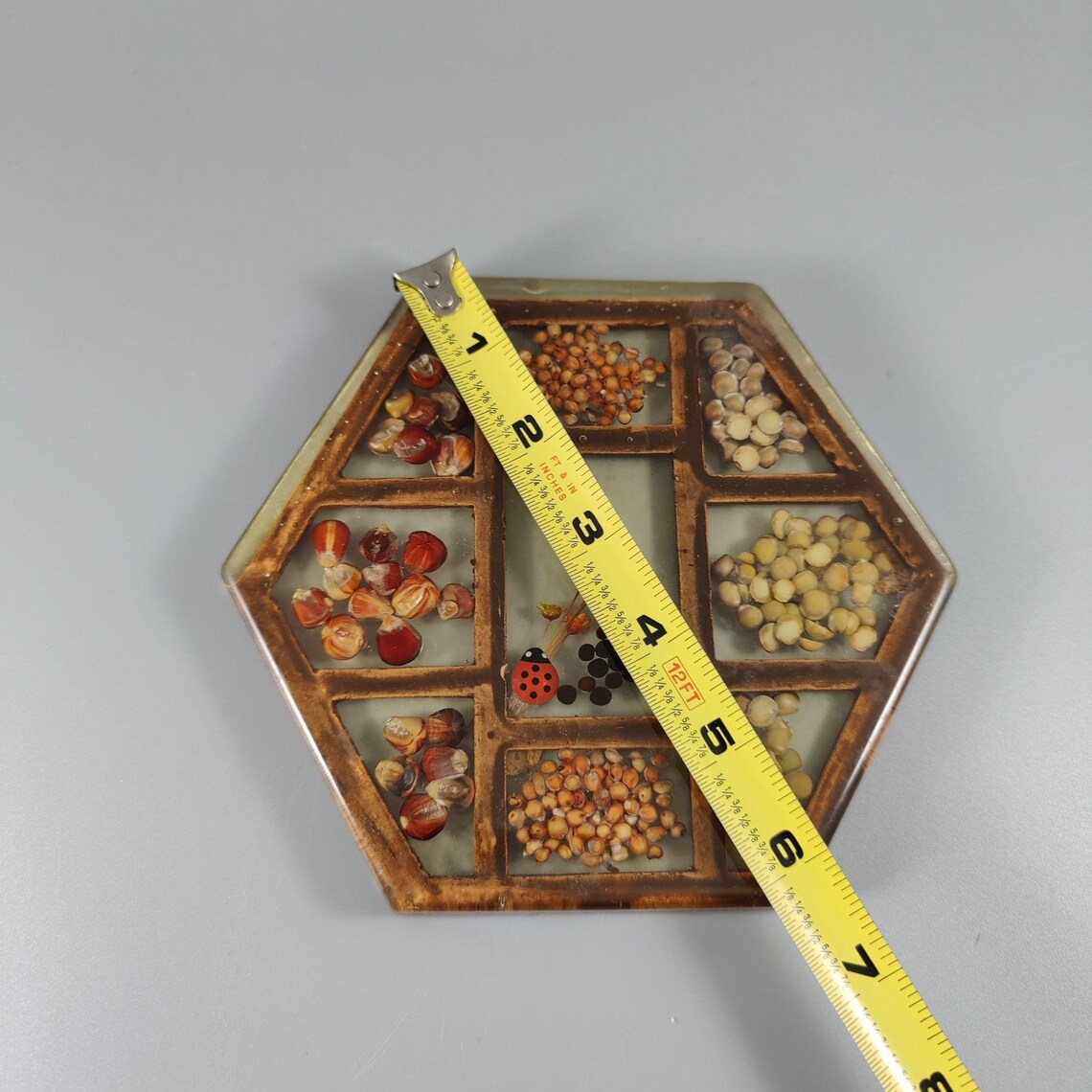 VTG Gamut Designs Trivets Resin Lucite Seeds Set of 3 Etsy