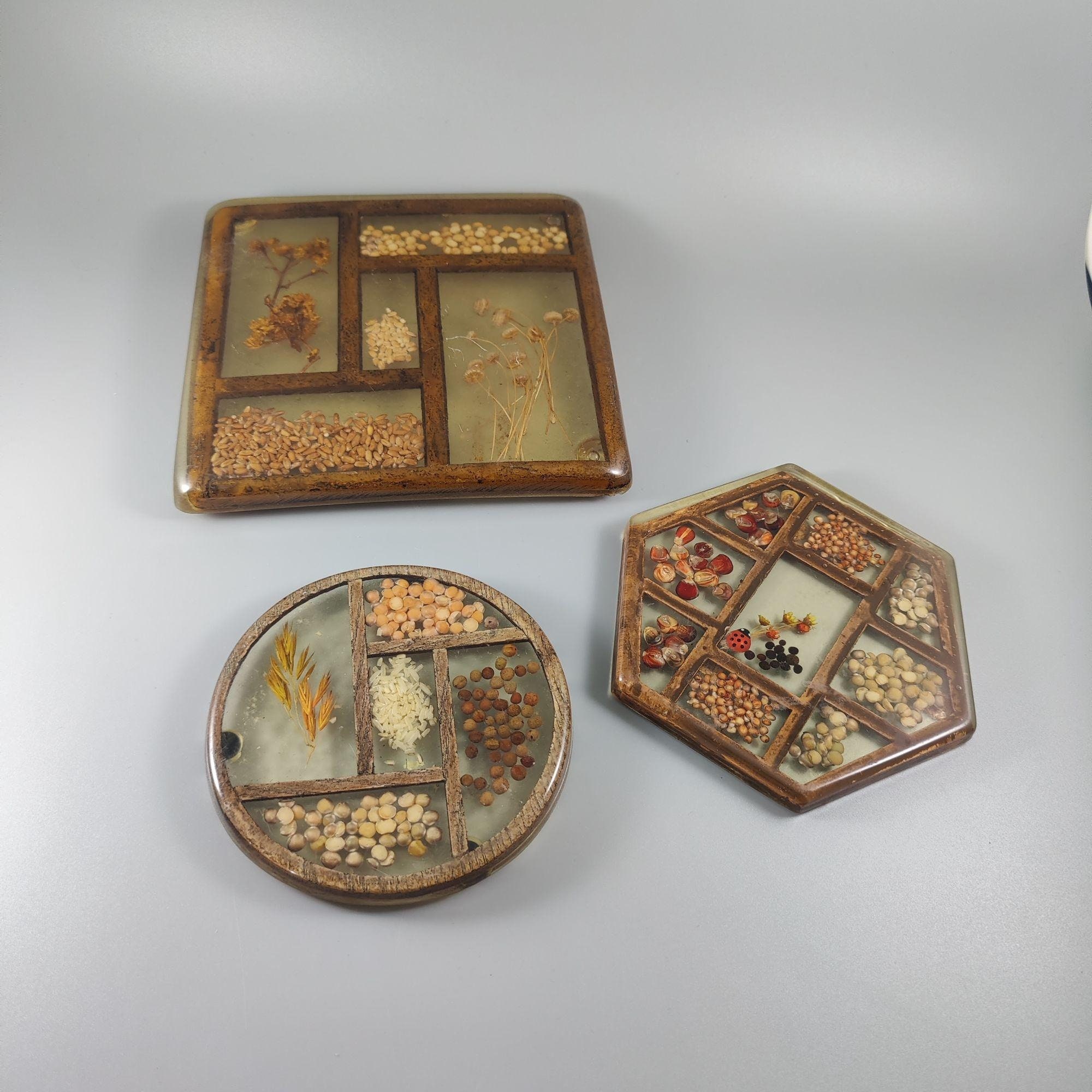VTG Gamut Designs Trivets Resin Lucite Seeds Set of 3 Etsy