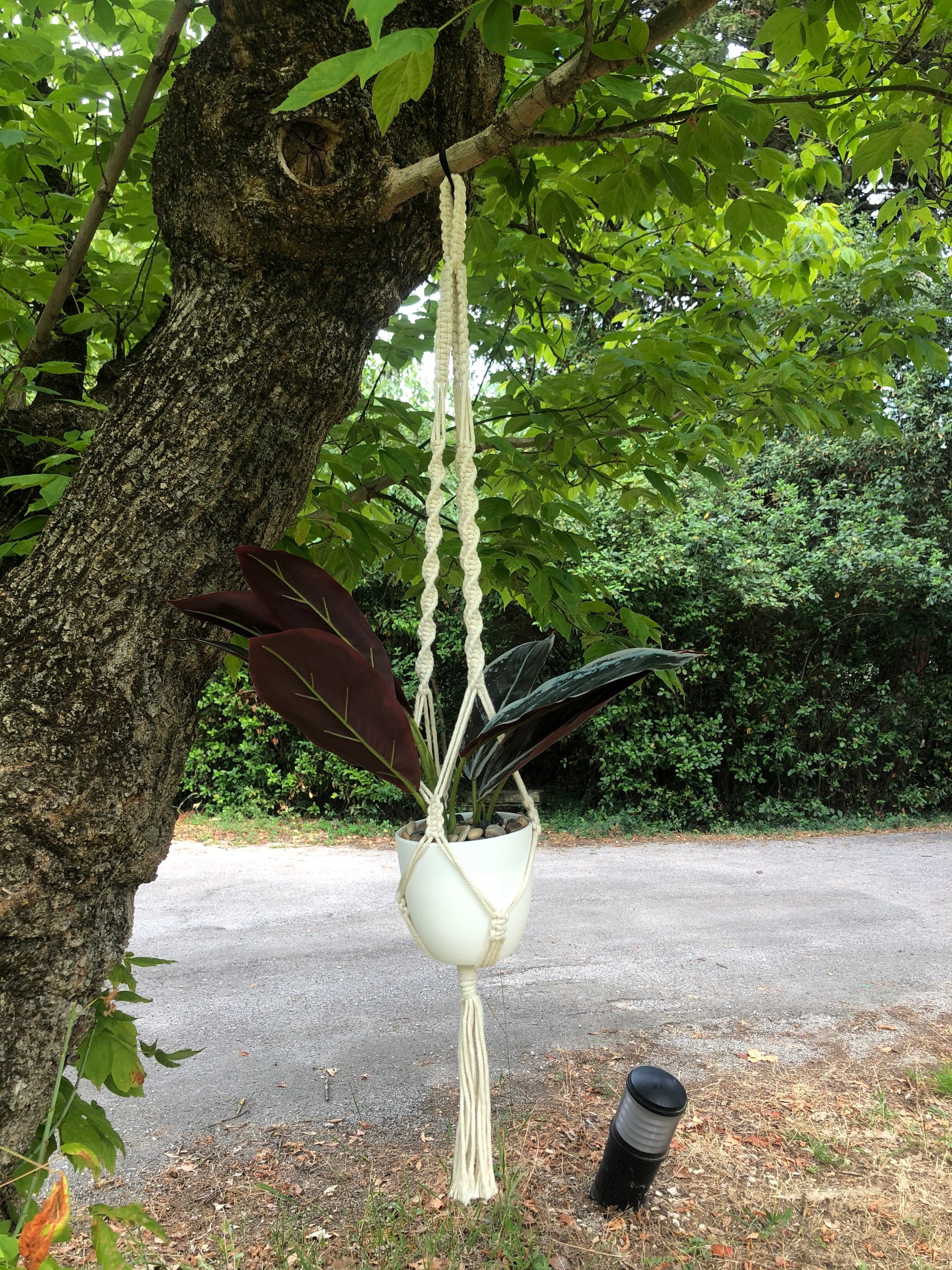 Suspension Plante Macramé en Coton