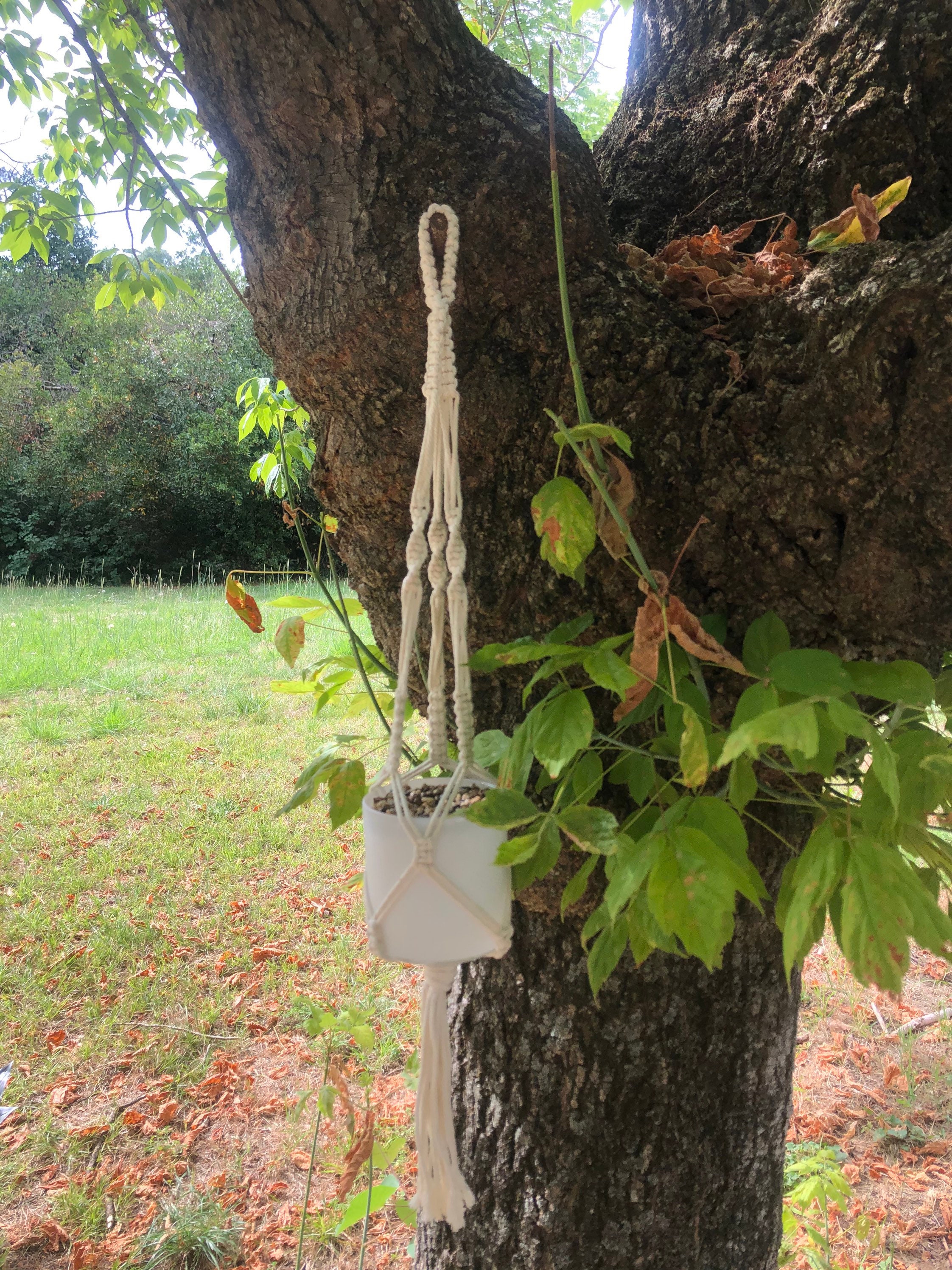 Suspension Plante Macramé Beige en Coton Naturel