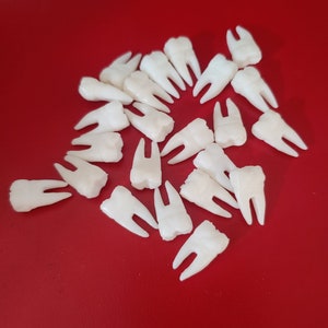 Può includere: Una collezione di denti di plastica bianca su uno sfondo rosso. I denti sono disposti in un cerchio sciolto.
