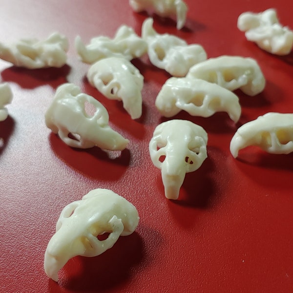 Rat Skull Plastic