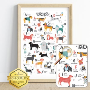 English Alphabet Dog Breeds Wall Art | Dog Illustration Nursery Poster Theme| Educational Kids&#39; Room Decor Perfect Dog Parents Gift