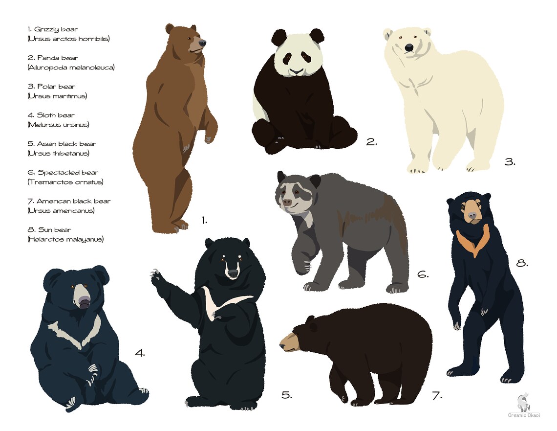 Bears of the World Print // Digital Painting Print // Nursery Etsy