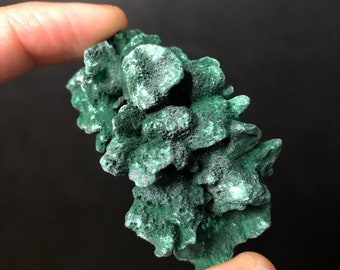 Velvet Malachite