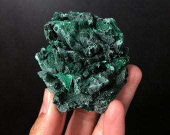 Velvet Malachite