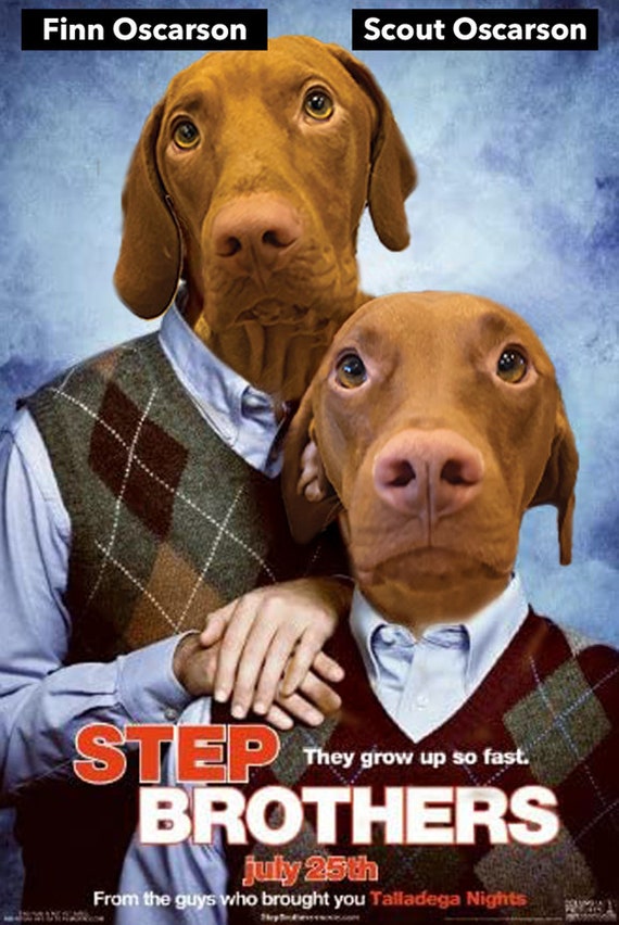 Step Brothers Styled Dog Portraits - Etsy