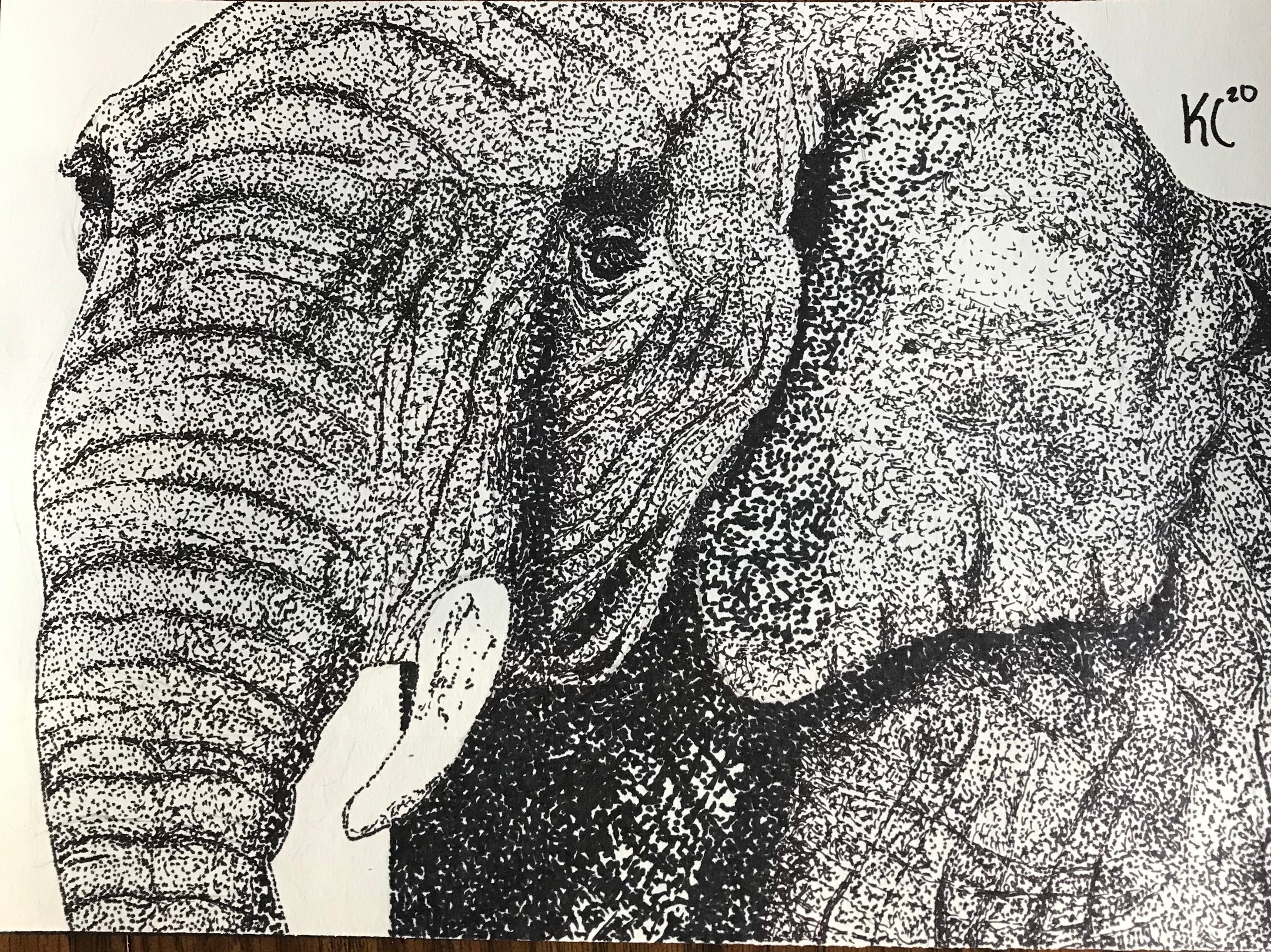 5 Inspiring Stippling Artists vrogue.co