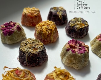 Mini tortine Fruity Flower! Confezione da 12 dolcetti per coniglietti/criceti/topi/gerbilli