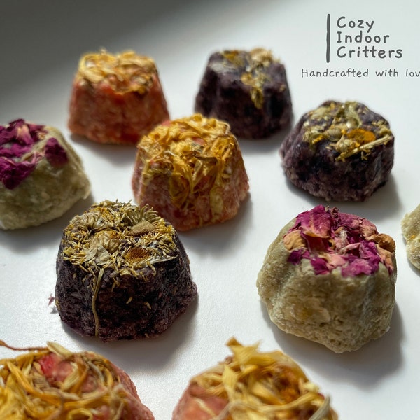 ¡Mini pasteles de flores frutales! Paquete de 12 unidades de golosinas para conejos, hámsteres, ratones y jerbos.