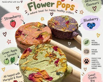 Fruity Flower Pops – Natural Rabbit Treats with Poplar Wood Chew Sticks