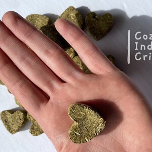 May include: A hand holding a heart-shaped green hay treat for small pets. The treat is made of dried grass and is a healthy snack for hamsters, gerbils, and other small animals. The text "Cozy Indoor Critters" is visible in the background.