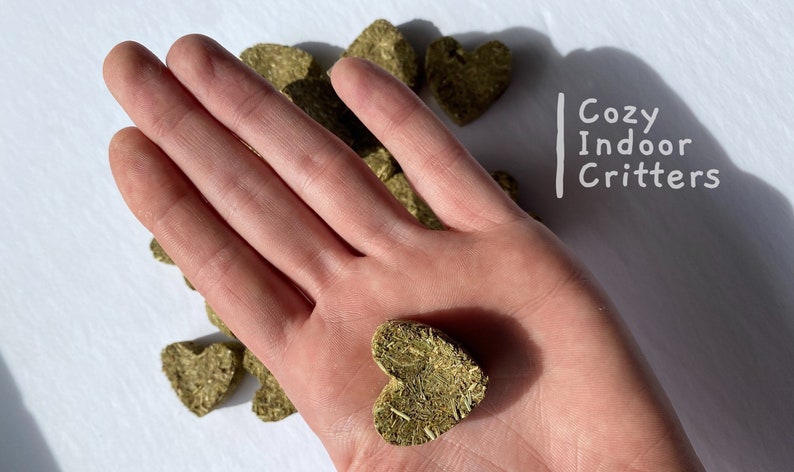 May include: A hand holding a heart-shaped green hay treat for small pets. The treat is made of dried grass and is a healthy snack for hamsters, gerbils, and other small animals. The text "Cozy Indoor Critters" is visible in the background.