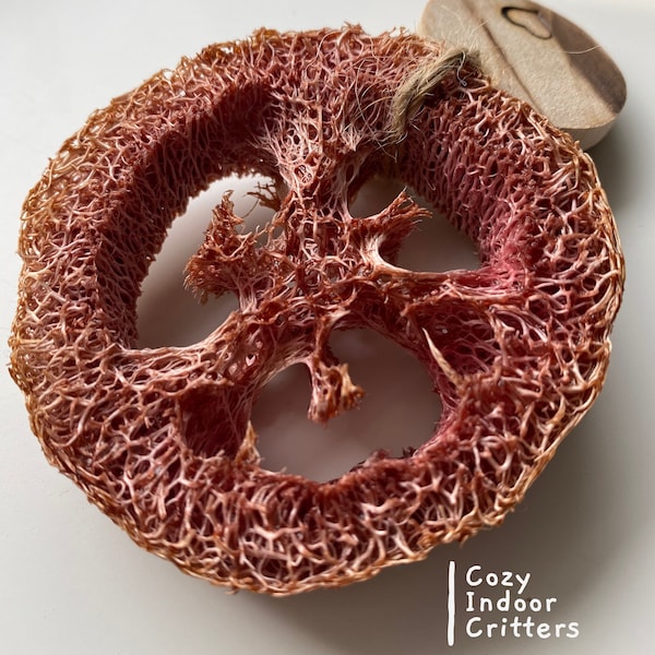 La lufa - cereza de granada
