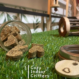 May include: A glass jar filled with brown heart-shaped treats for small animals. The jar is on a green artificial grass surface with a wooden heart-shaped tag that says "Cozy Indoor Critters" and "Handcrafted with love".