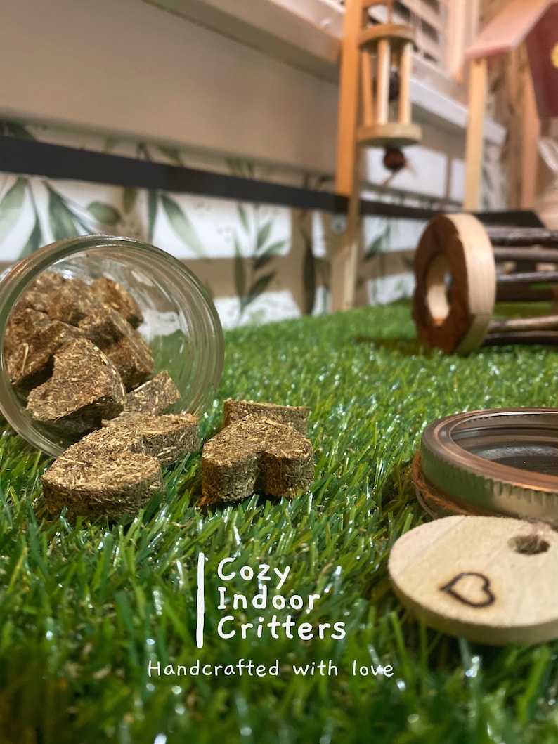 May include: A glass jar filled with brown heart-shaped treats for small animals. The jar is on a green artificial grass surface with a wooden heart-shaped tag that says "Cozy Indoor Critters" and "Handcrafted with love".