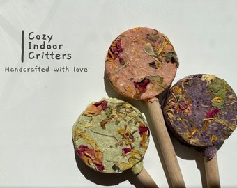 Fruity Flower Pops - dolcetti per coniglietti / criceti / ratti / topi / cincillà / gerbilli