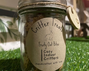 Natural fruity oat bites - rabbit /hamster treats