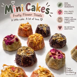 Fruity Flower mini cakes! 12 pack rabbit bunny /hamster/mice/gerbil treats