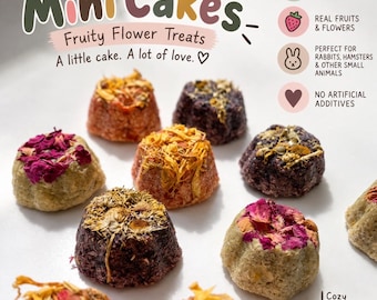 May include: Mini Cakes Fruity Flower Treats for small animals. The text reads: Mini Cakes, Fruity Flower Treats, A little cake. A lot of love., 100% natural ingredients, real fruits & flowers, perfect for rabbits, hamsters & other small animals, no artificial additives, Cozy Indoor Critters, Handcrafted with love. Several small, textured, dome-shaped treats topped with dried flower petals and herbs are arranged on a white surface.