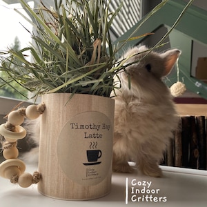 TIMOTHY HAY LATTE! - bunny rabbit toy / coffee hay feeder - bunny coffee cup