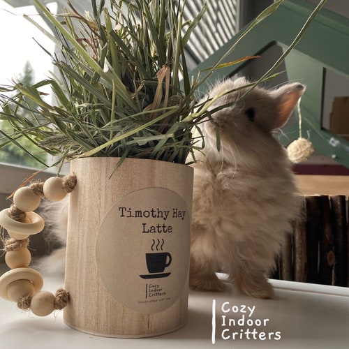 TIMOTHY HAY LATTE! - bunny rabbit toy / coffee hay feeder