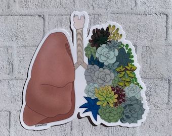 Succulent Lung | Anatomy and Plants Stickers | vinyl waterproof stickers | Chiropractic | Medicine