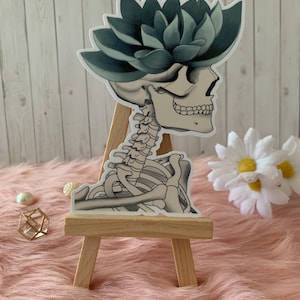 New Succulent skeleton Stickers | Anatomy and Plants Stickers | vinyl waterproof stickers | Chiropractic | Medicine