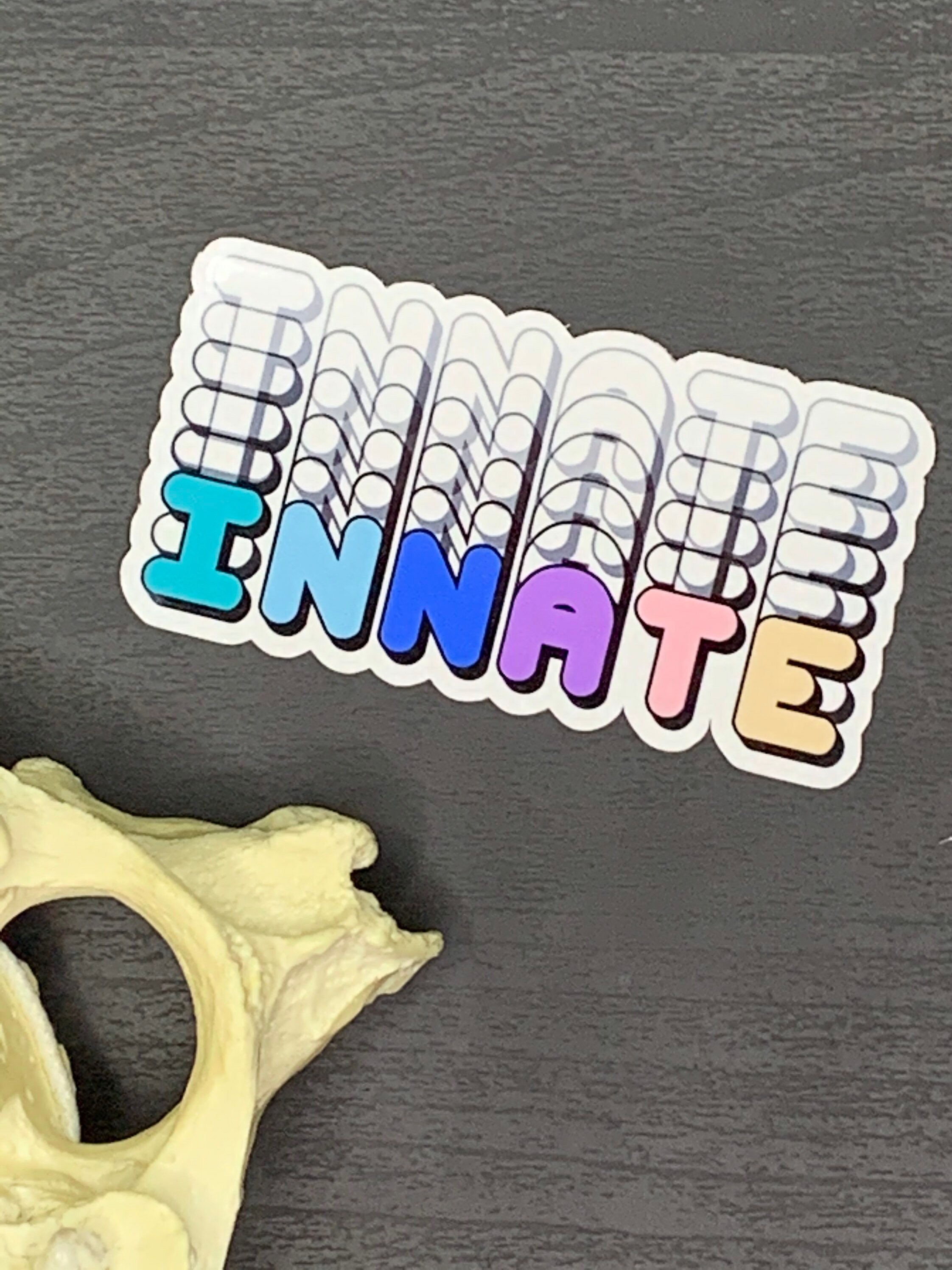 Chiropractic Stickers Phrases | Vinyl Waterproof Stickers ...