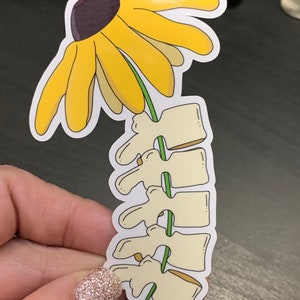 Lumbar Bloom | Anatomy and Plants Stickers | vinyl waterproof stickers | Chiropractic | Medicine