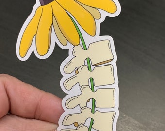 Lumbar Bloom | Anatomy and Plants Stickers | vinyl waterproof stickers | Chiropractic | Medicine