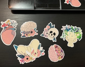 Anatomy and Plants Stickers | vinyl waterproof stickers | Die Cut Stickers | Chiropractic | Medicine