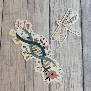 May include: Two stickers featuring floral designs. One sticker shows a DNA strand with flowers and leaves in shades of pink, green, and yellow. The other sticker shows a dragonfly with flowers and leaves in shades of pink, yellow, and brown.