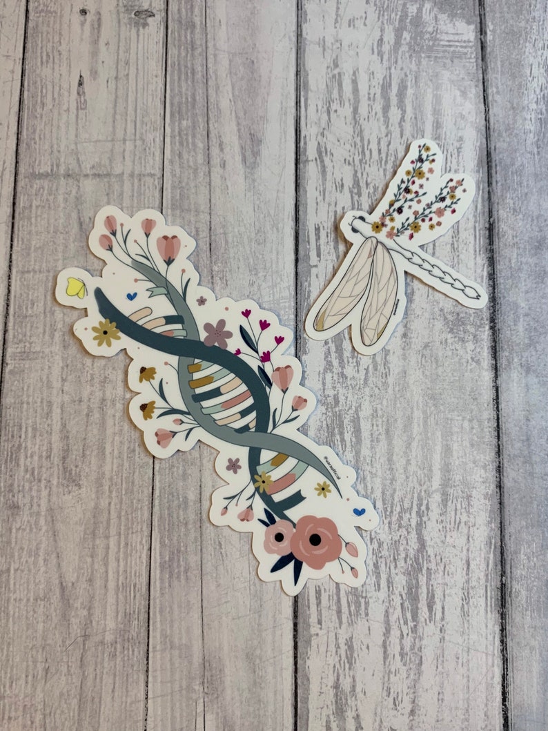 May include: Two stickers featuring floral designs. One sticker shows a DNA strand with flowers and leaves in shades of pink, green, and yellow. The other sticker shows a dragonfly with flowers and leaves in shades of pink, yellow, and brown.