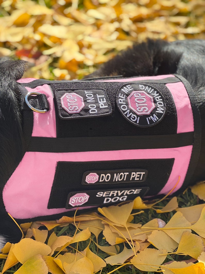 professional service dog vest