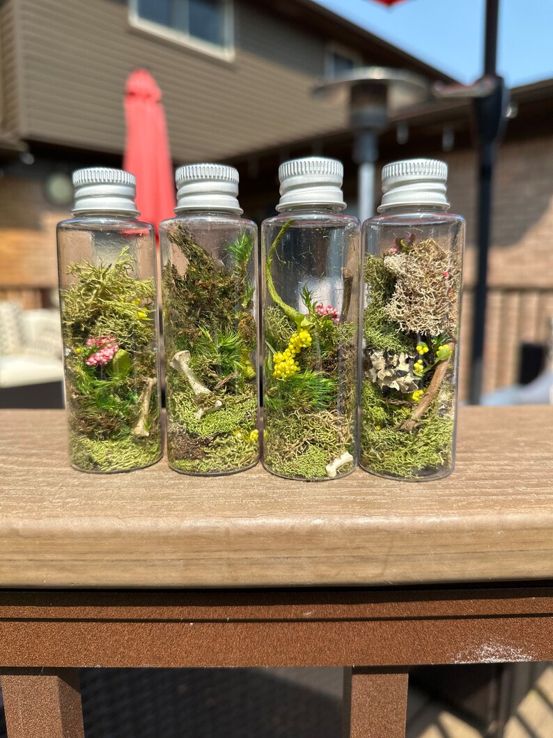 Mossy Bottles With Real Raccoon Bones / Therian Decor / Etsy