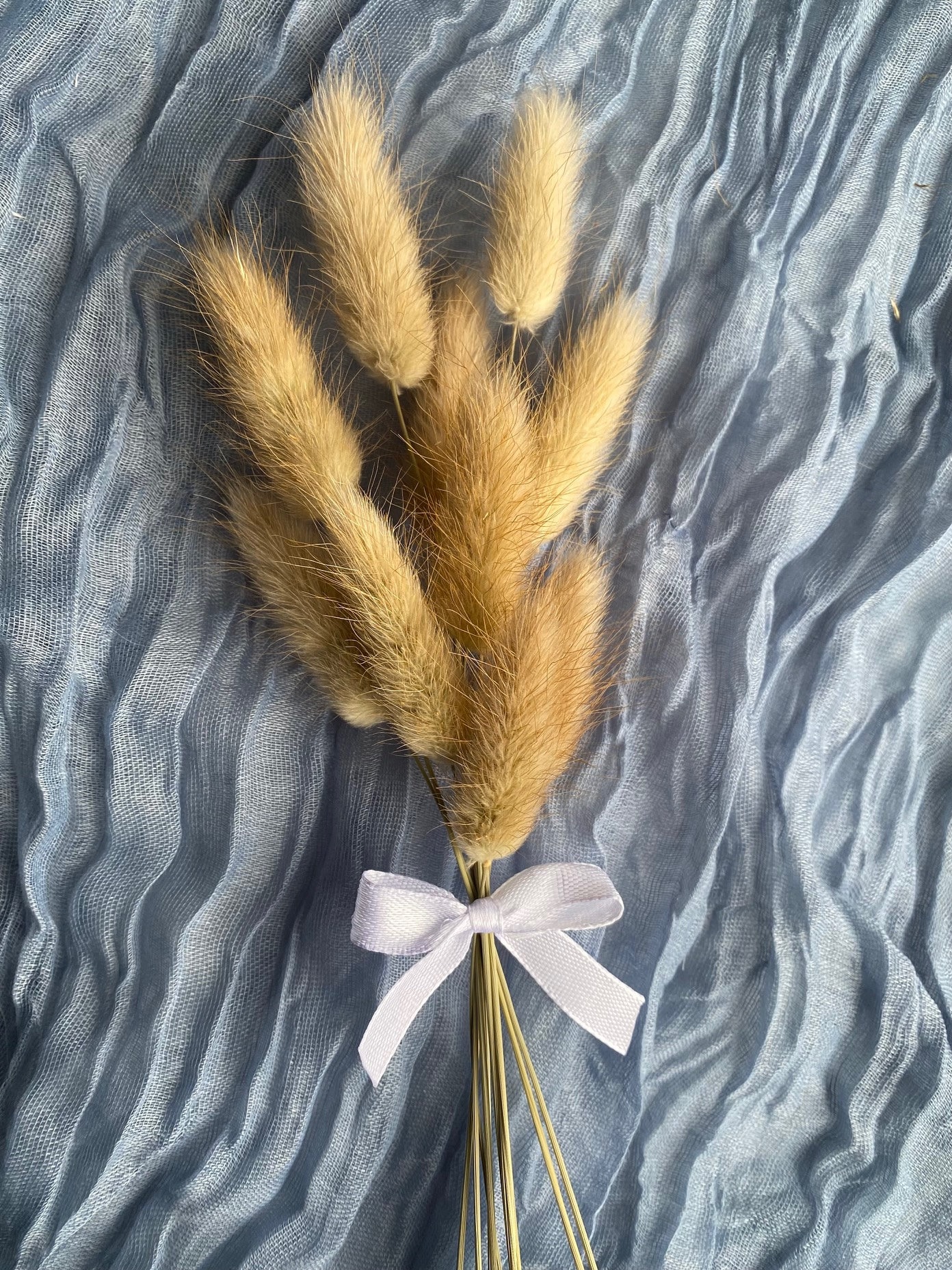 Bunch of 10 Bunny Tail Stems With White Ribbon Etsy